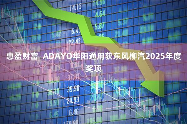 惠盈财富  ADAYO华阳通用获东风柳汽2025年度奖项